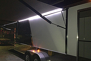 Power awning with optional LED Lighting
